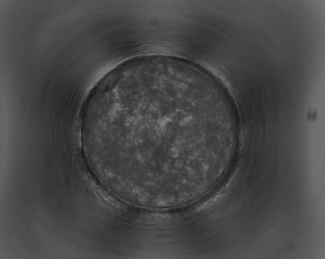 X0000091200925200708301557