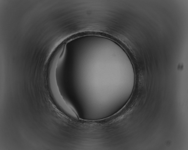 X0000091200926200708301557