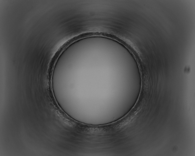 X0000091200927200708301557