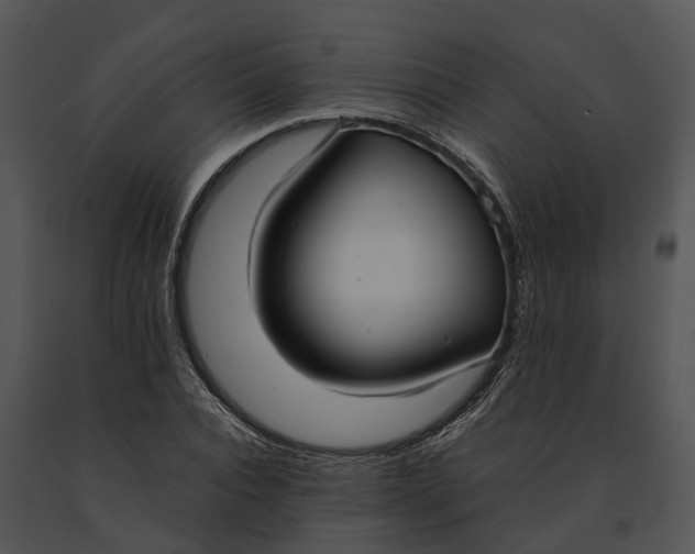 X0000091200928200708301557