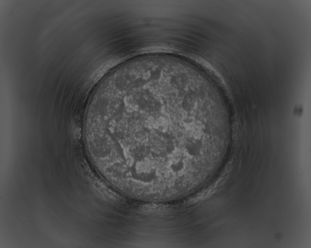 X0000091200929200708301557