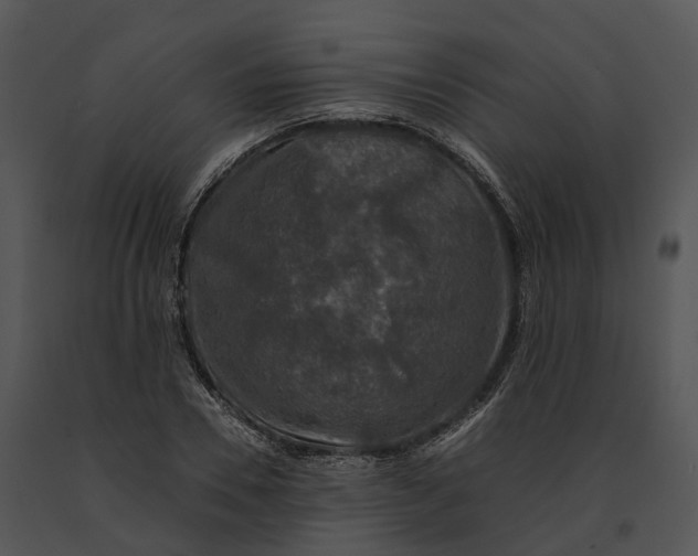 X0000091200930200708301557