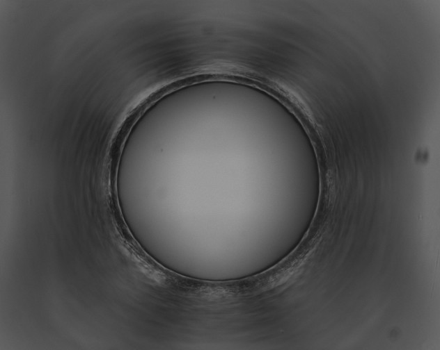 X0000091200931200708301557