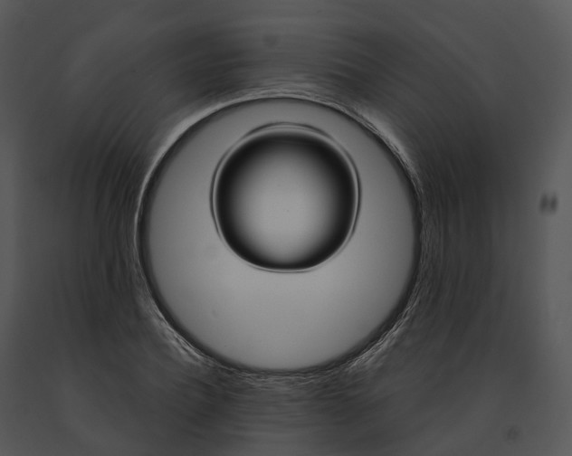 X0000091200932200708301557