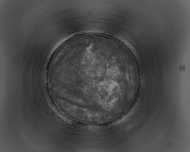 X0000091200933200708301557