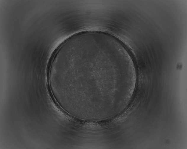 X0000091200935200708301557