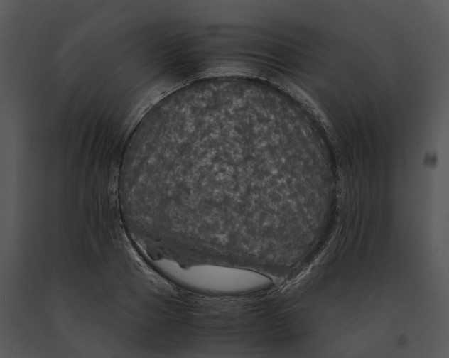 X0000091200937200708301557
