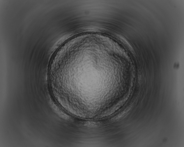 X0000091200938200708301557
