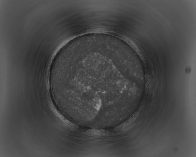 X0000091200939200708301557