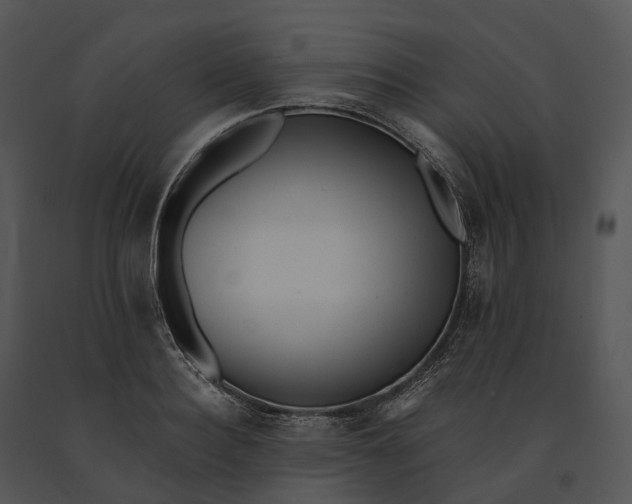 X0000091200940200708301557
