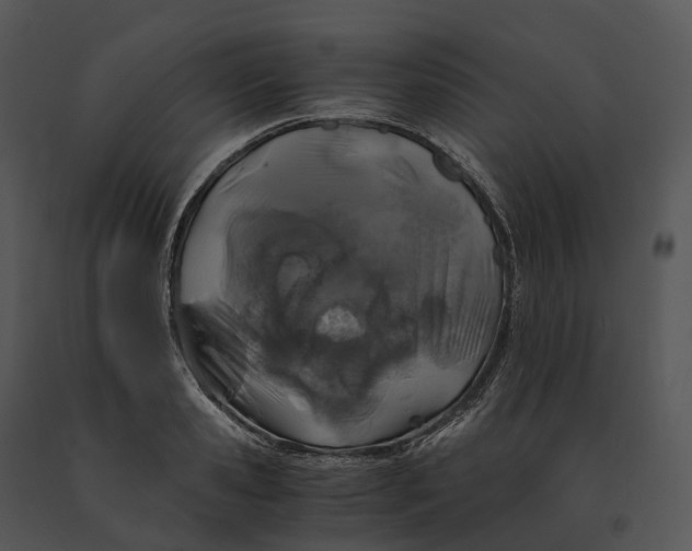 X0000091200941200708301557