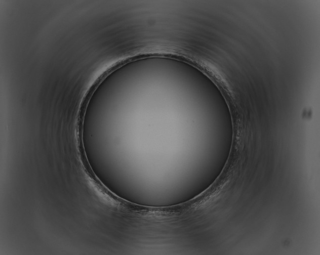 X0000091200942200708301557