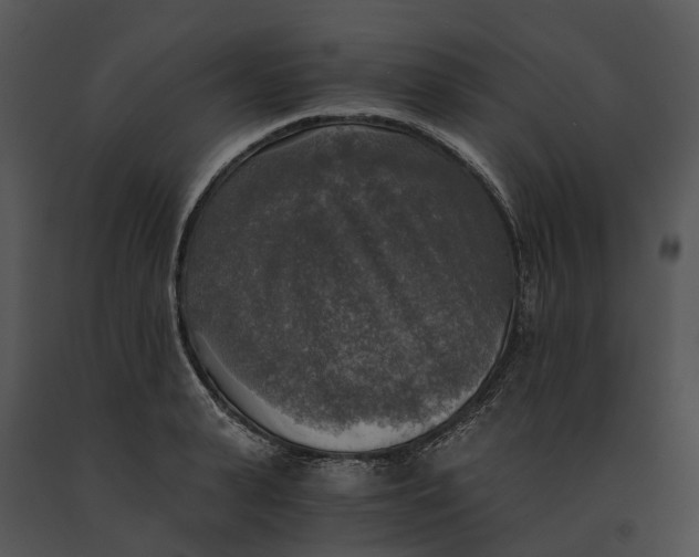 X0000091200943200708301557