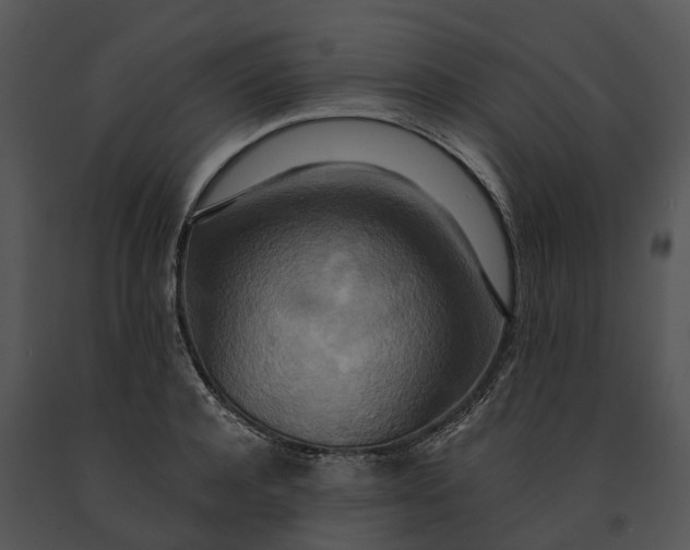 X0000091200944200708301557