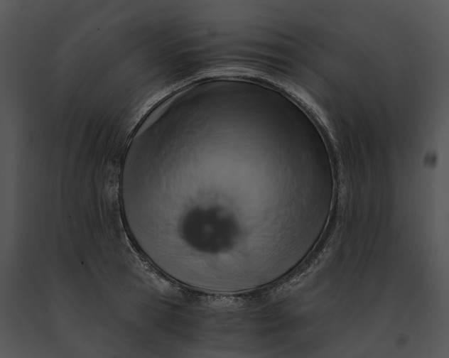 X0000091200945200708301557