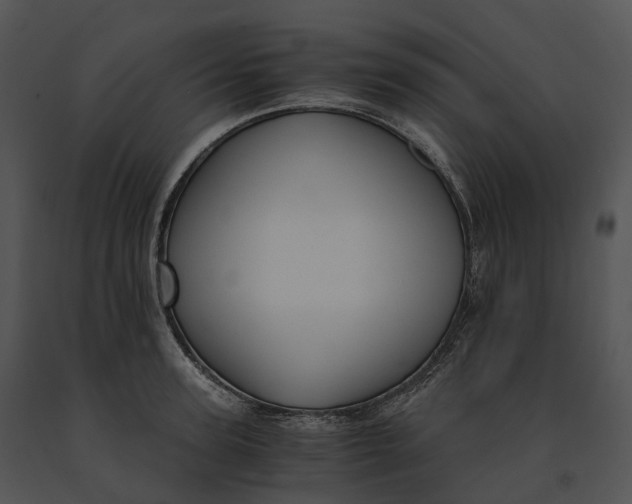 X0000091200947200708301557