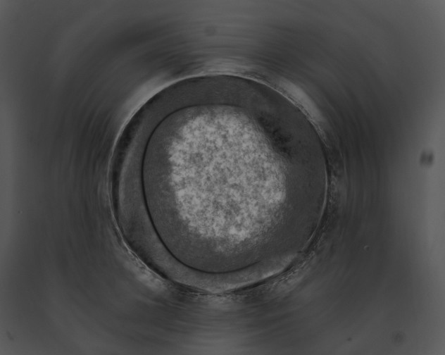 X0000091200948200708301557