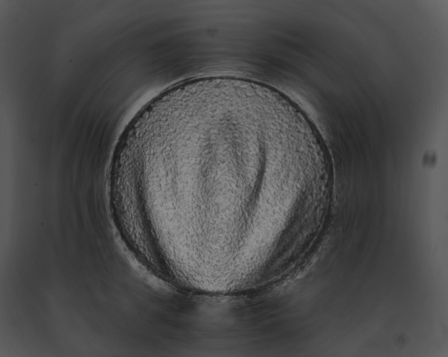 X0000091200949200708301558