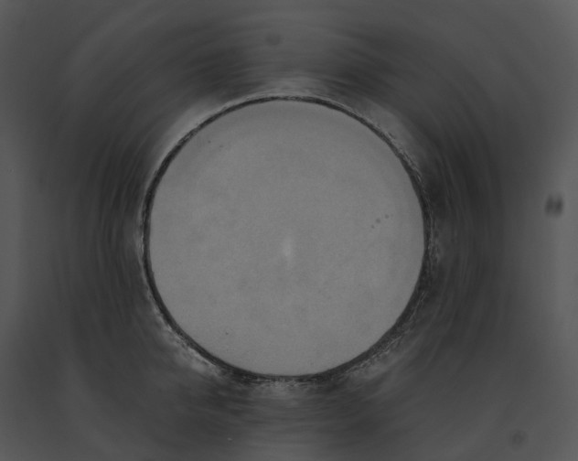 X0000091200950200708301558