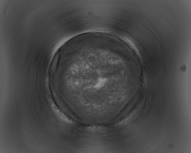 X0000091200952200708301558