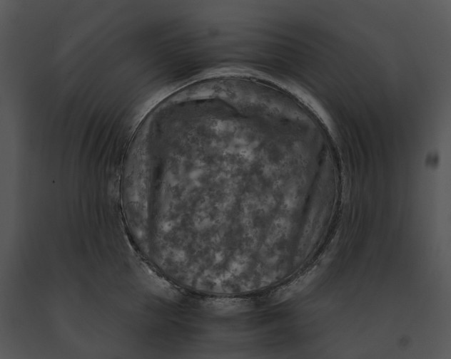 X0000091200953200708301558