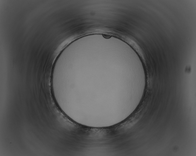 X0000091200954200708301558