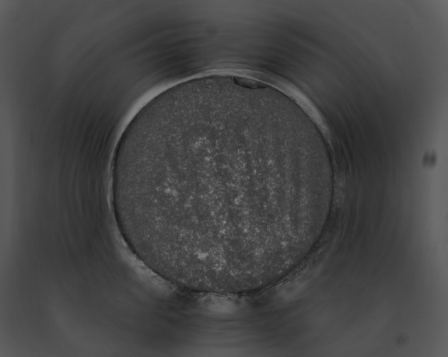 X0000091200955200708301558