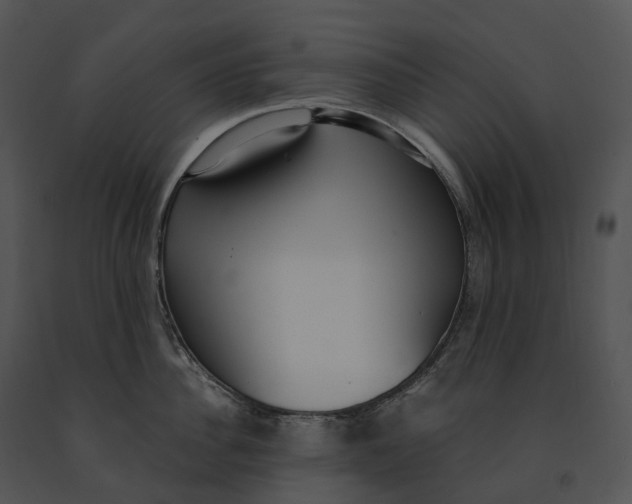 X0000091200956200708301558