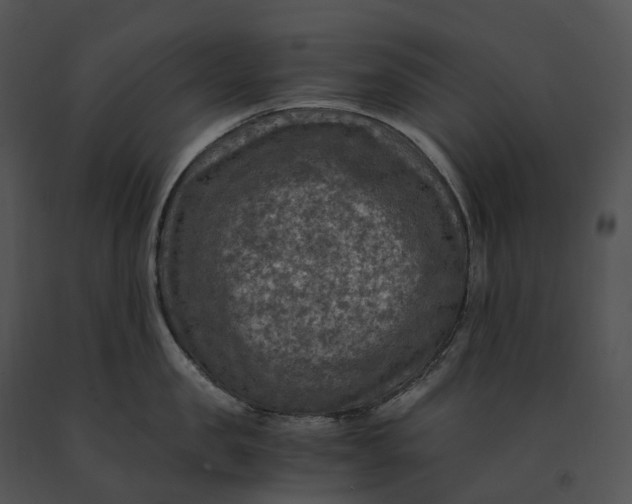 X0000091200957200708301558