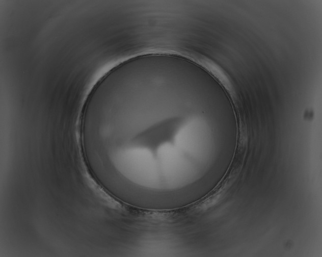 X0000091200958200708301558