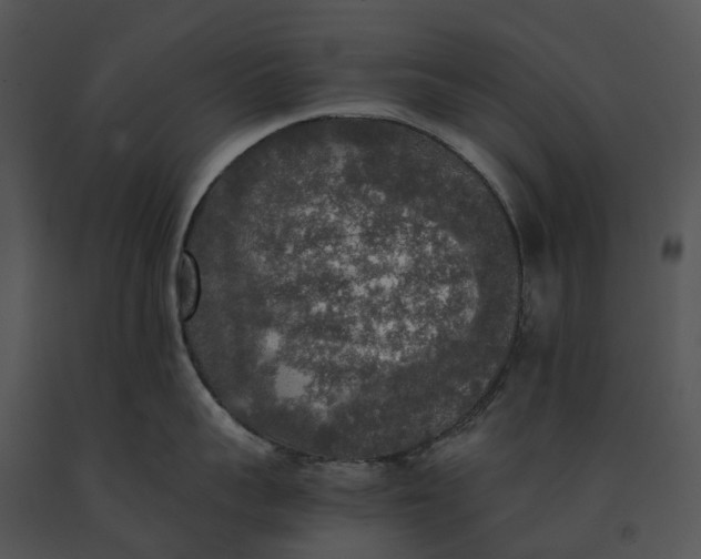 X0000091200959200708301558