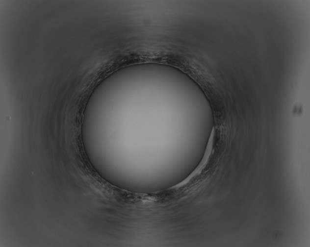 X0000091200961200708301557