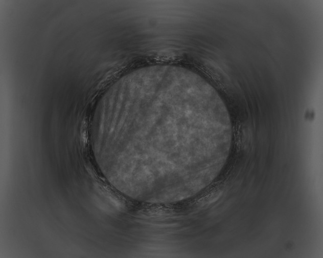X0000091200962200708301557
