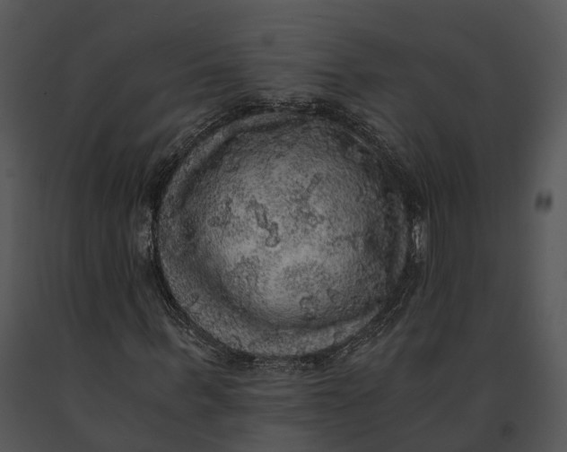 X0000091200963200708301557