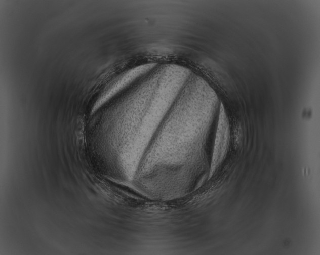 X0000091200964200708301557