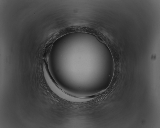 X0000091200965200708301557
