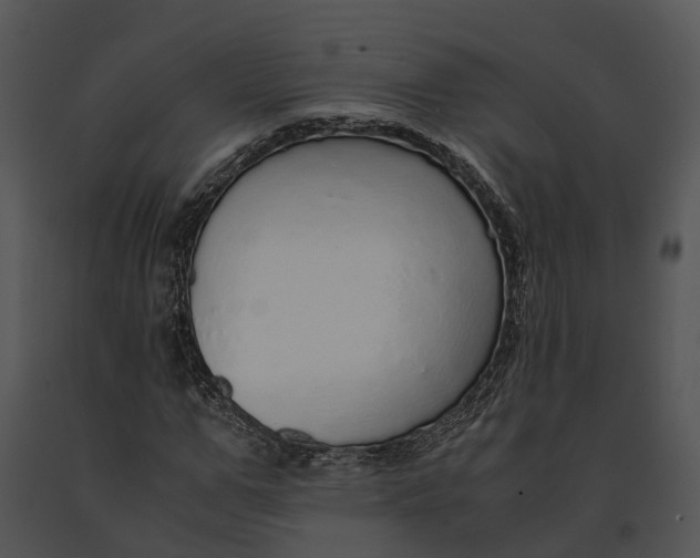 X0000091200967200708301557