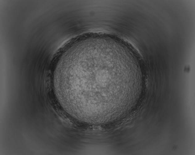 X0000091200968200708301557