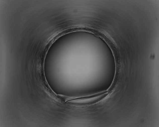 X0000091200969200708301557