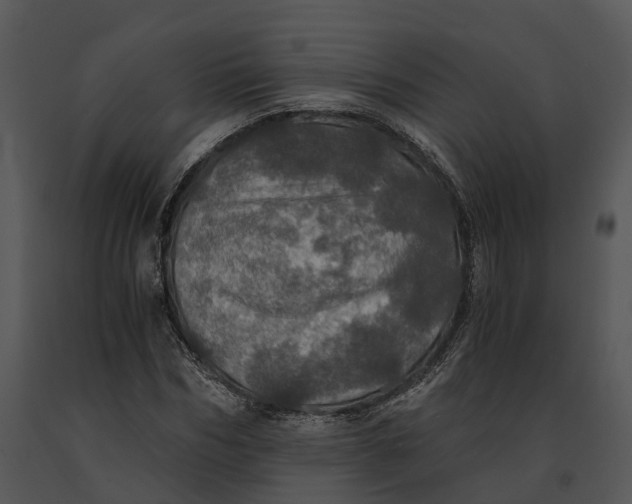 X0000091200970200708301557