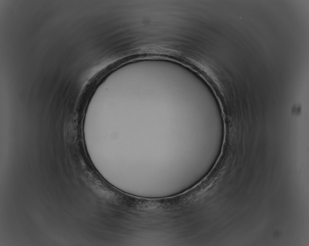 X0000091200971200708301557