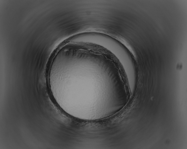 X0000091200972200708301557