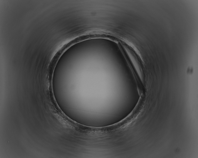 X0000091200973200708301557