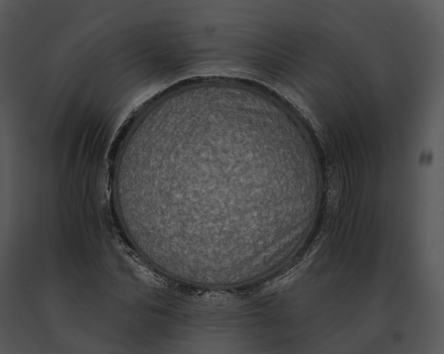 X0000091200974200708301557