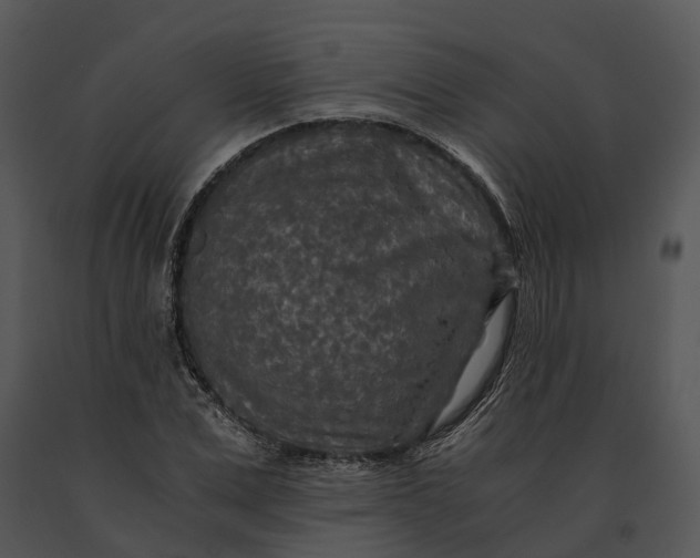 X0000091200975200708301557