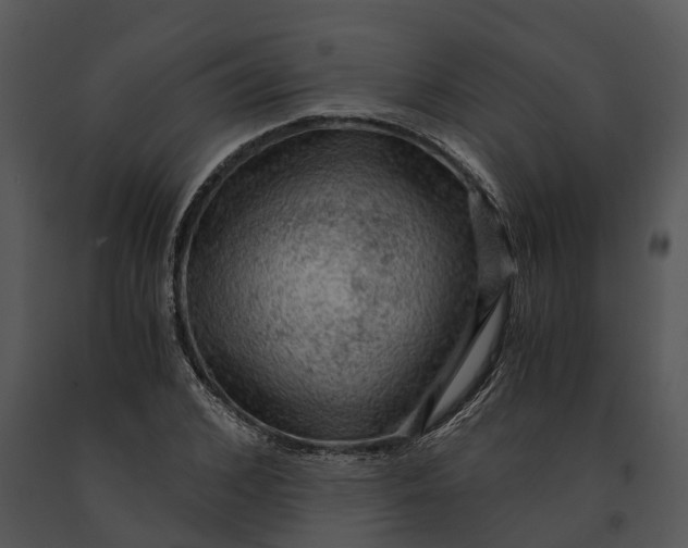 X0000091200976200708301557