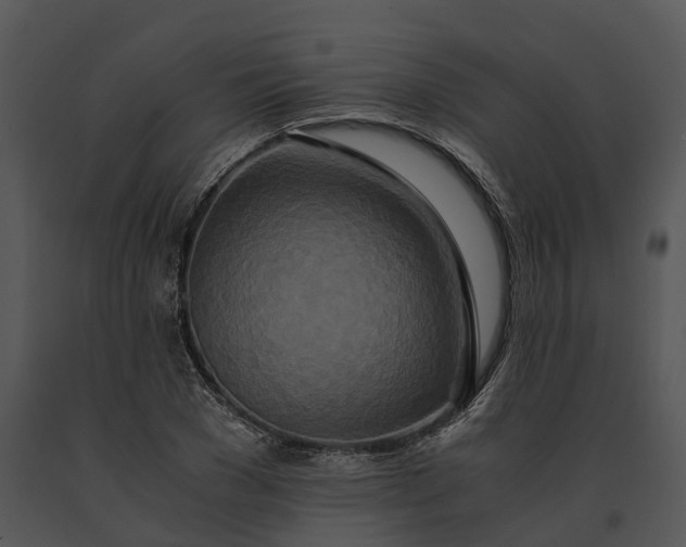 X0000091200977200708301557