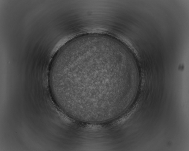 X0000091200978200708301557