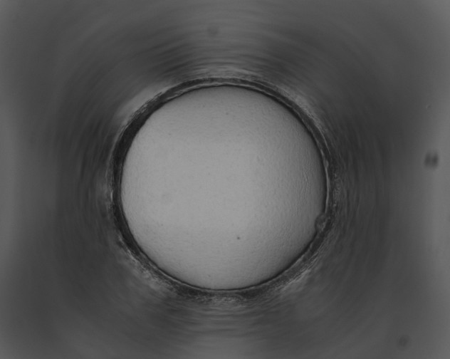 X0000091200979200708301557