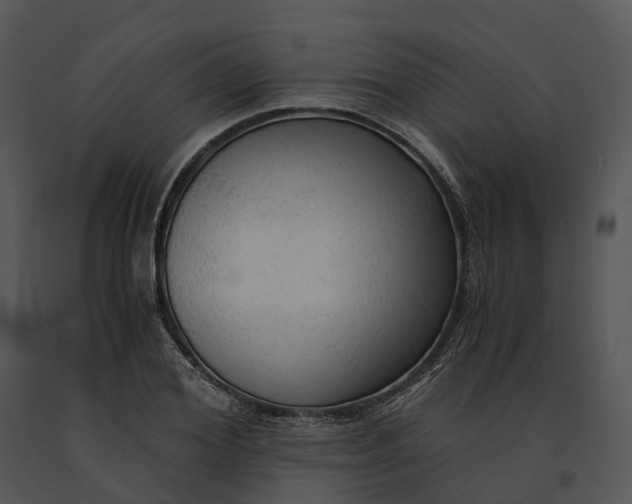 X0000091200980200708301557